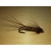 PHEASANT TAIL