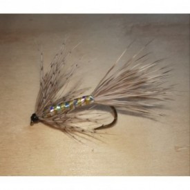 Mosca Lajita