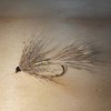 Mosca Lajita