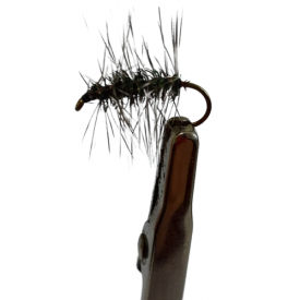 Mosca Griffith's Gnat