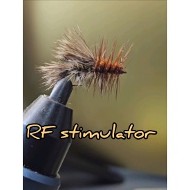 RF Stimulator