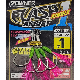 Owner Flash Assist Twin Hook 01-05