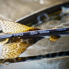 Caña TFO Blue Ribbon