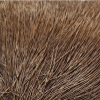 Deer Belly Hair Nature's Spirit