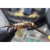 Hare´s Ear Stonfly