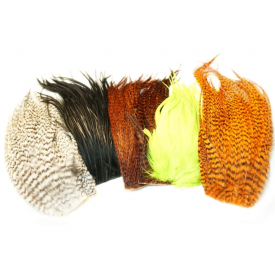 Whiting Bugger Pack Grizzly