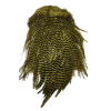 Whiting 4BS Rooster Saddle