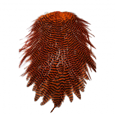 Whiting 4BS Rooster Saddle