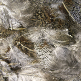 Premium Hungarian Patridge Feathers Natural Hareline