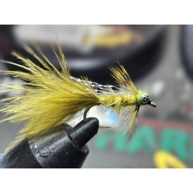Chain Eye Damsel