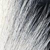 Large Northern Bucktails Hareline