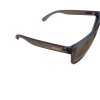 Gafas Rapala Wildeye dorado mate black cristal silver
