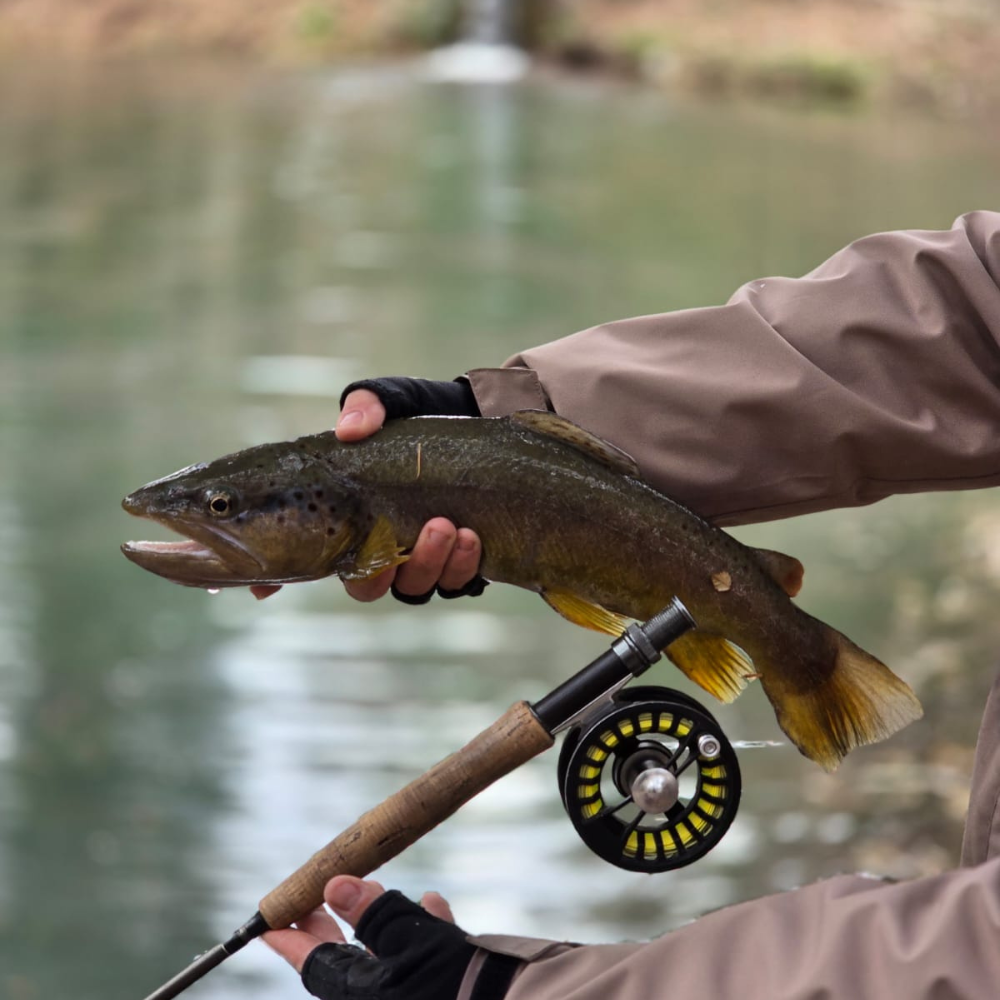 Resolución Exenta N° 02075/2025: Nuevas fechas para la temporada de pesca recreativa en la Región de Los Lagos