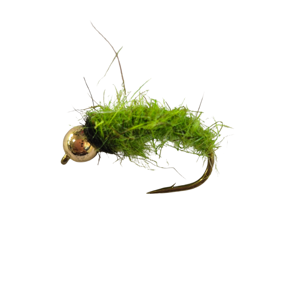 BH Caddis larva