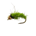 BH Caddis larva