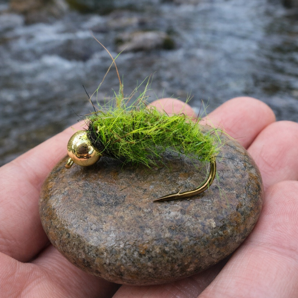 BH Caddis larva
