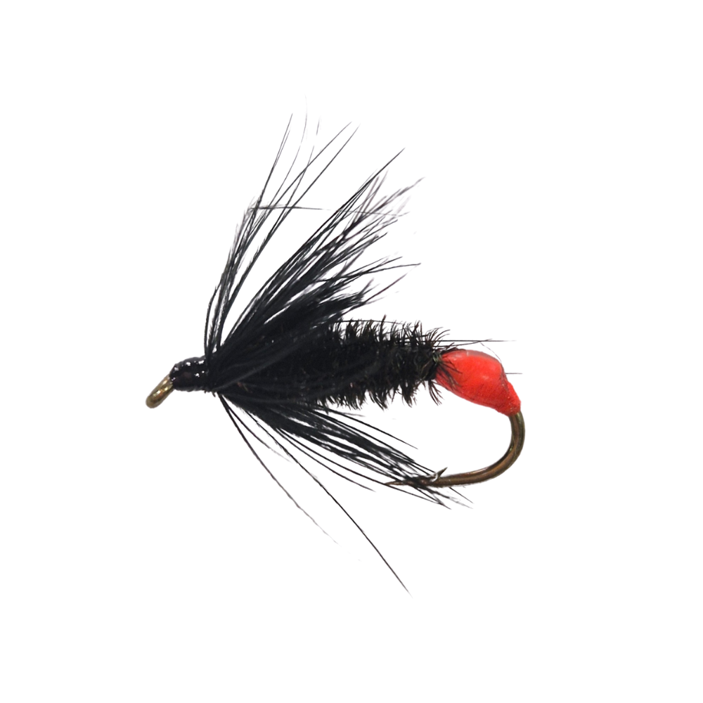 Mosca Black Peacock Spider – Clásica, sutil y altamente efectiva