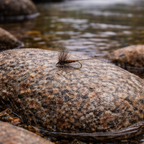 Mosca CDL Mayfly