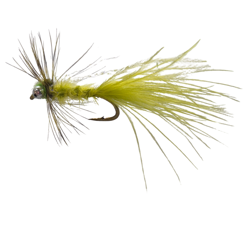 Chain Eye Damsel