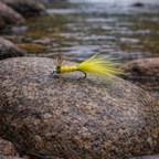 Chain Eye Damsel