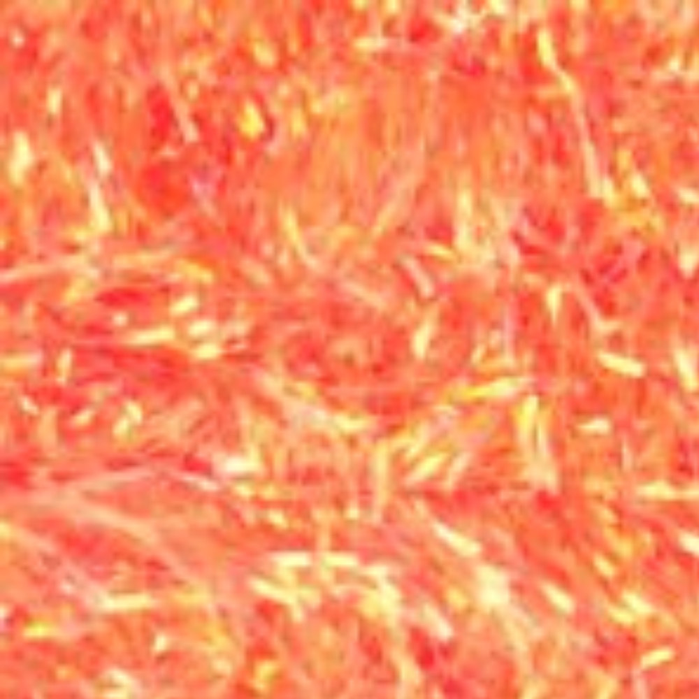 Crystal Cactus Chenille 10 mm Textreme