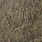 Hare’s Ear Plus Dub Hareline