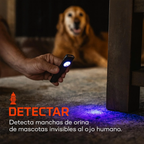 Linterna Recargable con Luz UV NEBO Slim Mini UV 150 Lúmenes – Compacta, potente y multifuncional