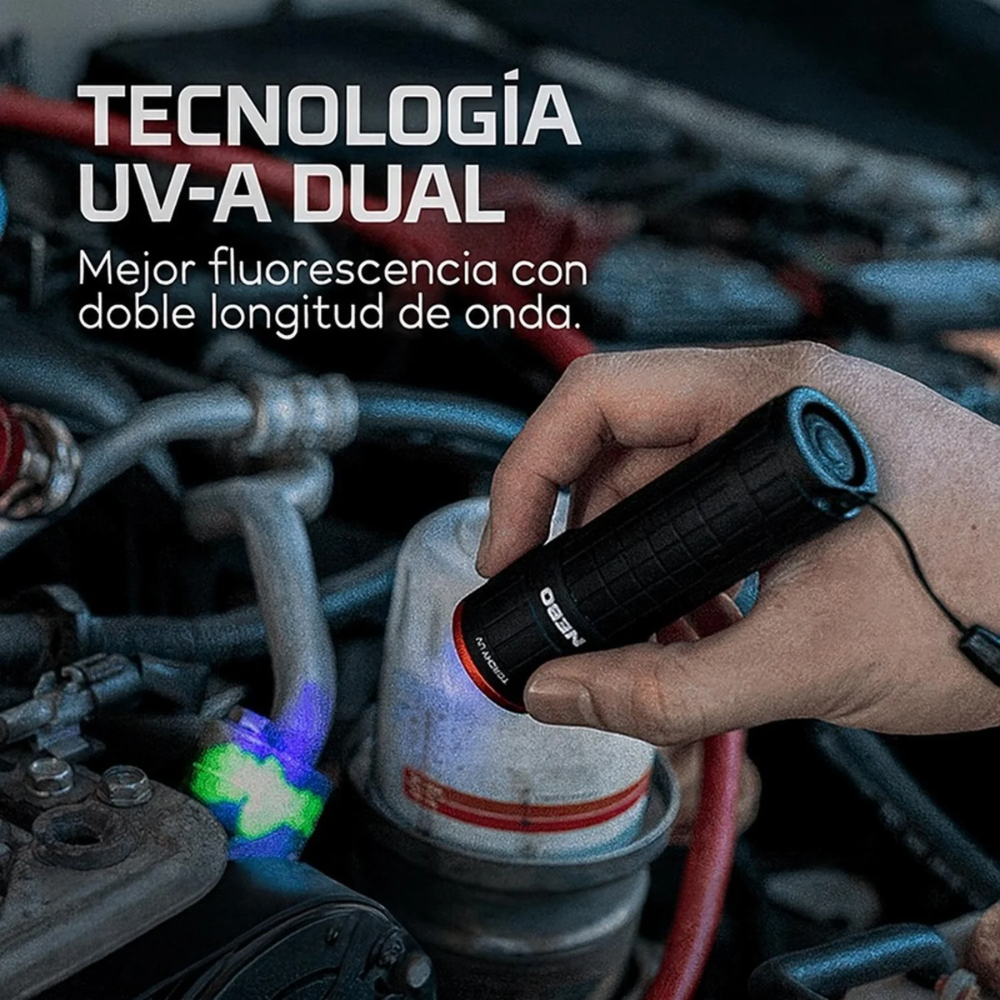 Linterna Torchy UV BlackLight – Descubre lo invisible con tecnología UV-A