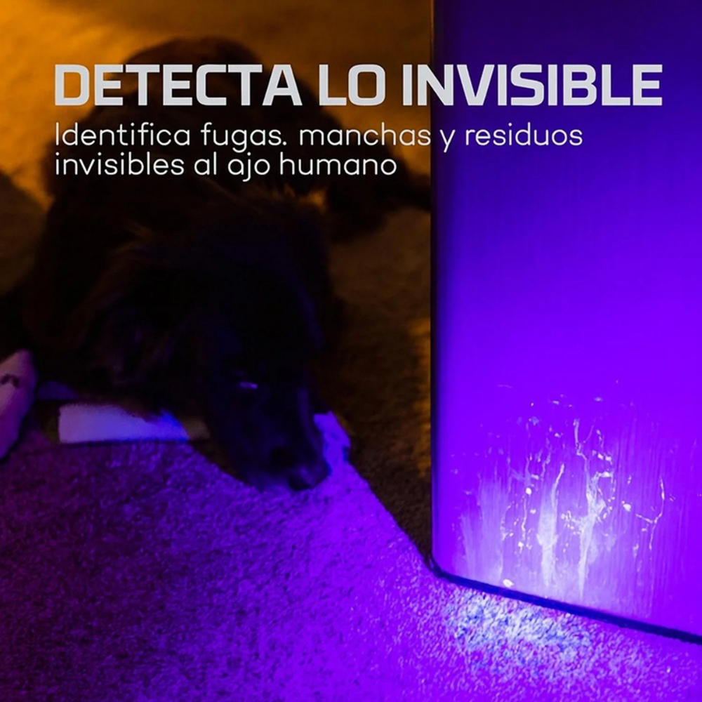 Linterna Torchy UV BlackLight – Descubre lo invisible con tecnología UV-A