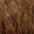 Marabou Blood Quills Hareline – Movimiento irresistible y efecto natural