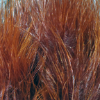 Marabou Blood Quills Hareline – Movimiento irresistible y efecto natural
