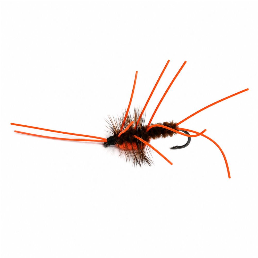 Mosca Leonis Barbarus