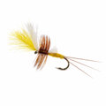 Mosca Miss Sulphur