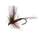 Mosca CDC Adams