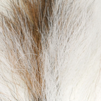 Petite Bucktail Hareline – Bucktail versátil para streamers y clásicos del fly tying