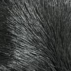 Premo Deer Hair Strip Hareline – Pelo de ciervo premium para moscas de alto rendimiento