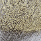 Premo Deer Hair Strip Hareline – Pelo de ciervo premium para moscas de alto rendimiento