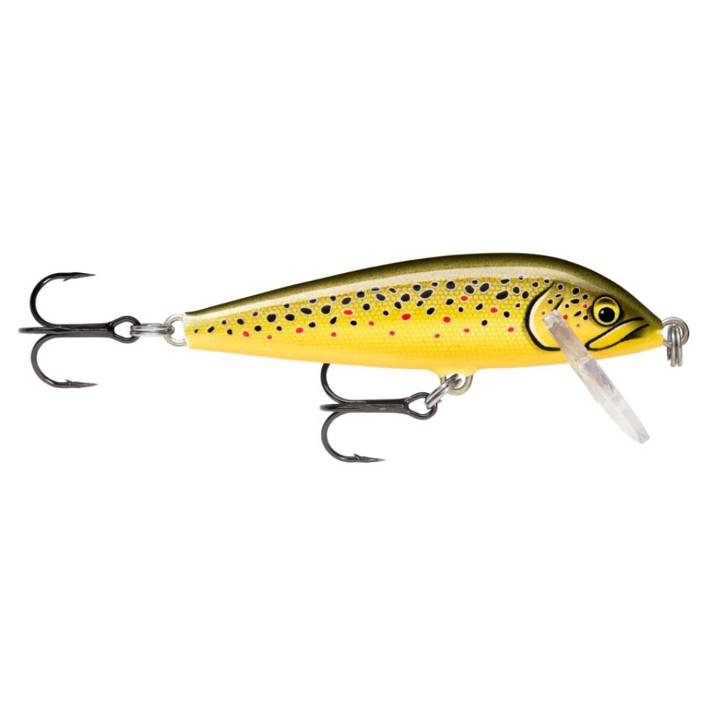 Señuelo Rapala Countdown CD5