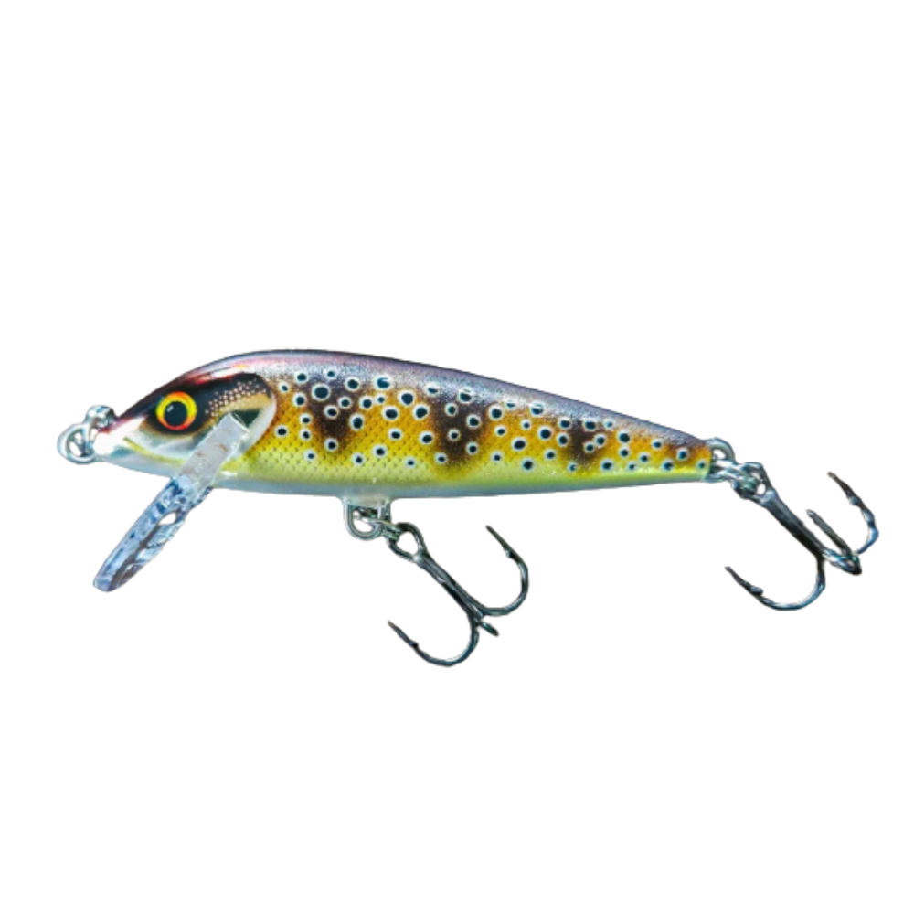 Señuelo Rapala Countdown CD7