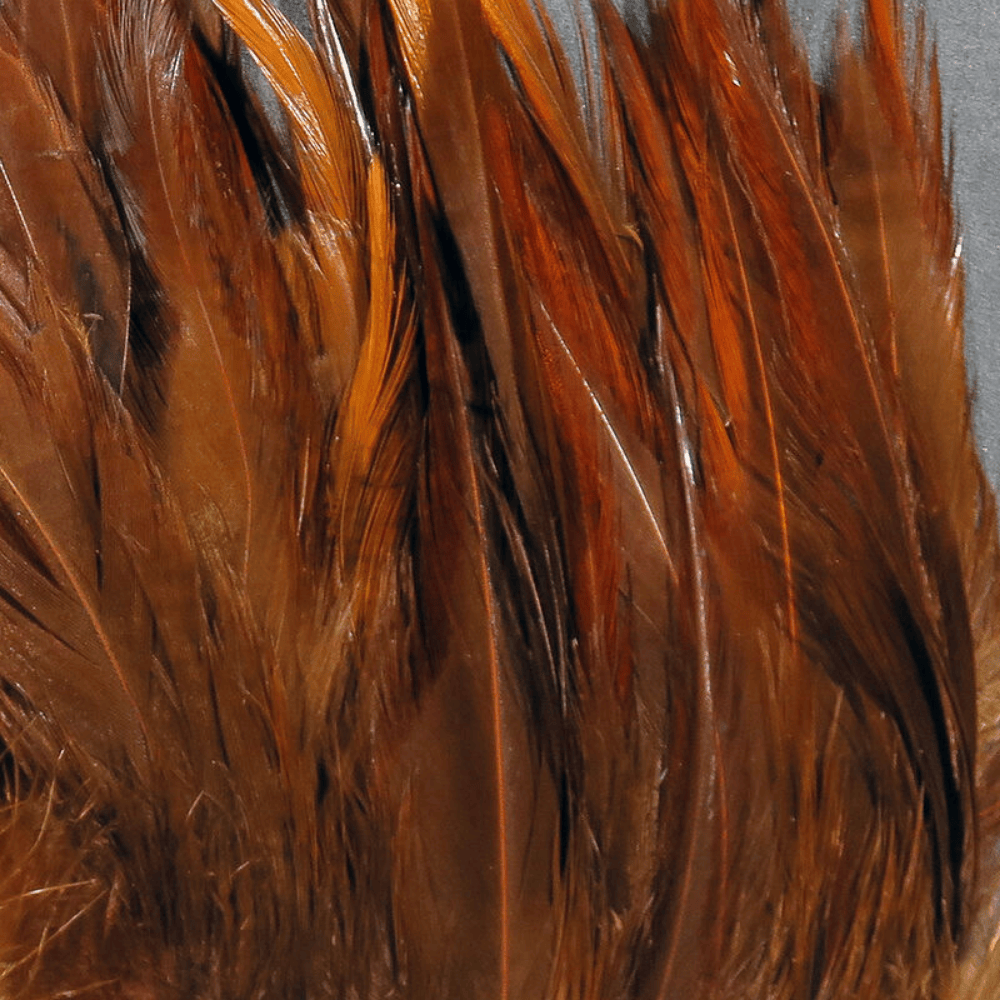 Strung Chinese Saddle Hackle Hareline – Un clásico imprescindible para el atado de moscas