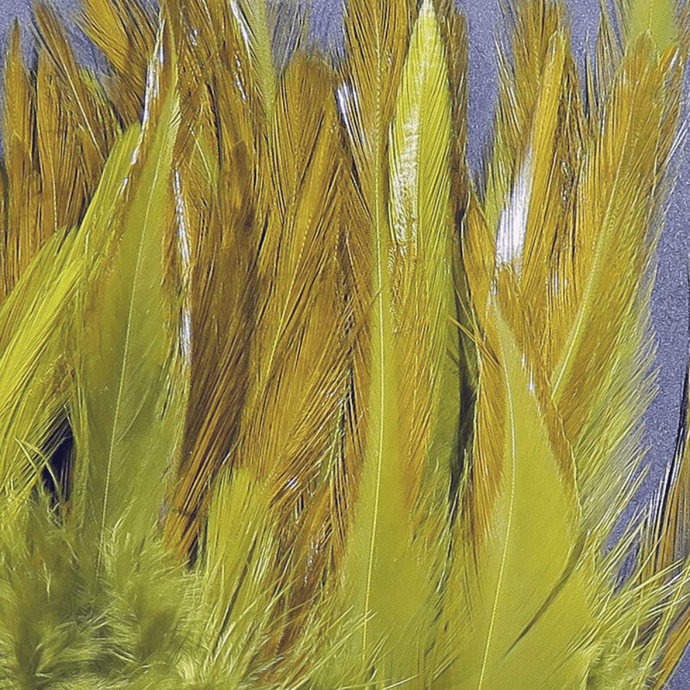 Strung Chinese Saddle Hackle Hareline – Un clásico imprescindible para el atado de moscas